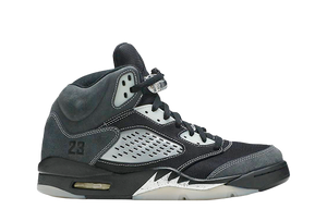 Air Jordan 5